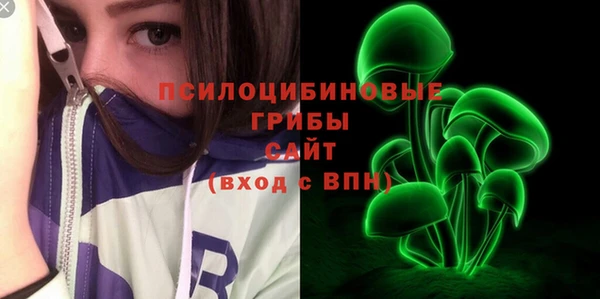 бошки Алексеевка
