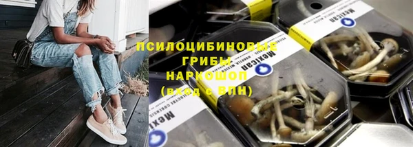 молекула духа Алзамай